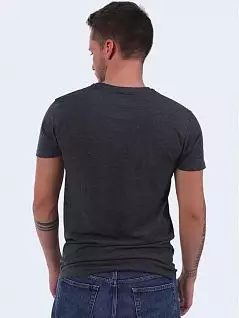 Мужская футболка с принтом темно-серого цвета Sergio Dallini RTSDT750P-3